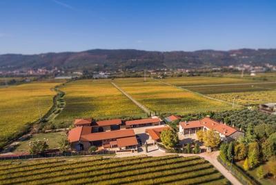 Feliz experiencia del día del vino en Capurso wine cerca de Verona