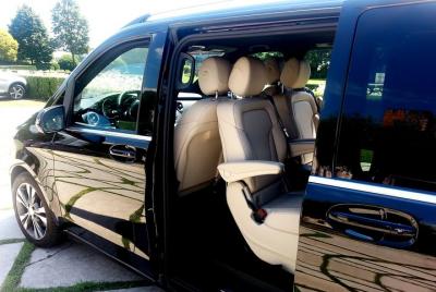 Traslado privado de lujo de Verona a Mantova (o viceversa)