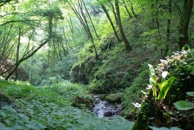 Verano 2.0 en Verona, Italia