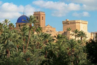 Experiencia de un día completo en Alicante que incluye una visita a Elche con traslados Experiencia de un día completo en Alicante que incluye una visita a Elche con traslados