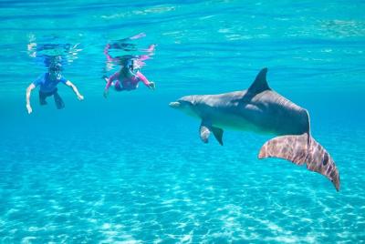 Dolphin House VIP Snorkeling Sea Trip con deportes acuáticos -Hur