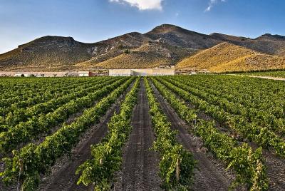 Escapada cultural y enoturismo 3 dias en Murcia Escapada cultural y enoturismo 3 dias en Murcia