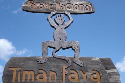 Tour privado de lujo al Parque Nacional de Timanfaya con paseo en camello