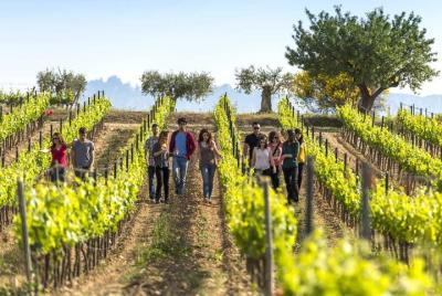 Senderismo y Vino en el Penedès. Tour desde Barcelona en Grupo Reducido.