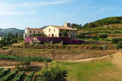 Desayuno Winery Experience - Tour de cata de vinos