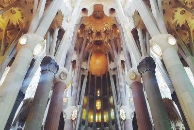 Visita guiada oficial a la Sagrada Familia: acceso prioritario