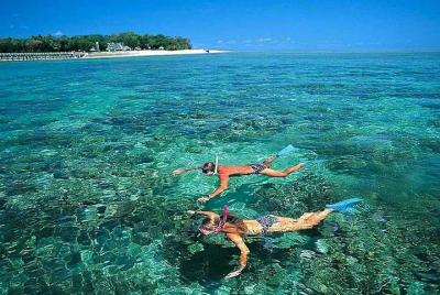 Tour de día completo a las islas Cham: lancha rápida, almuerzo, e Tour de día completo a las islas Cham: lancha rápida, almuerzo, e
