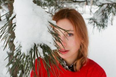 Tour mágico de Navidad en Polis