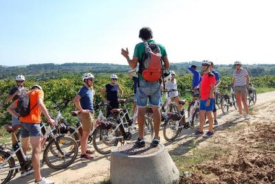 Barcelona: Wine e-Bike Tour en Penedès - Medio día