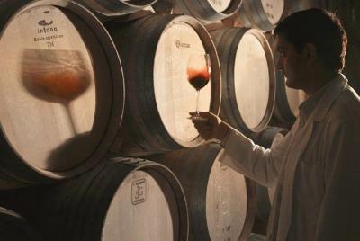 Rioja: Visitas guiadas a viñedos y bodegas. Rioja: Visitas guiadas a viñedos y bodegas.