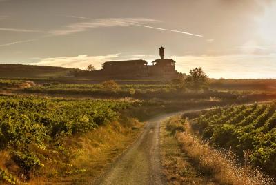 La Rioja visita a dos bodegas con degustación de vinos y pintxos en tour en grupo La Rioja visita a dos bodegas con degustación de vinos y pintxos en tour en grupo