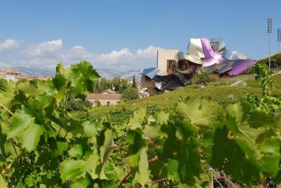 La Rioja Wine Tour con dos visitas a bodegas con cata de vinos desde Bilbao La Rioja Wine Tour con dos visitas a bodegas con cata de vinos desde Bilbao