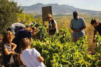 Experiencia de cosecha en la región vinícola de Rioja Experiencia de cosecha en la región vinícola de Rioja