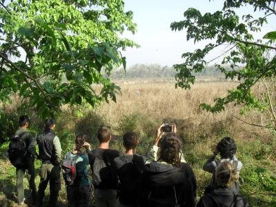 Excursión de un día en Chitwan (canoa 2 hrs. + Caminata de un día por la jungla), paquete de 1 día