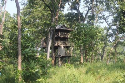 Jungle Towernight Stay In Chitwan National Park, nepal-2 Nights 3 Days Package