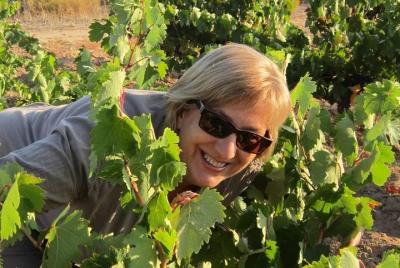 Olvídate de conducir y disfruta de la Ribera del Duero!!! Olvídate de conducir y disfruta de la Ribera del Duero!!!