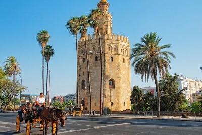 Excursión privada de un día a Sevilla desde Jerez