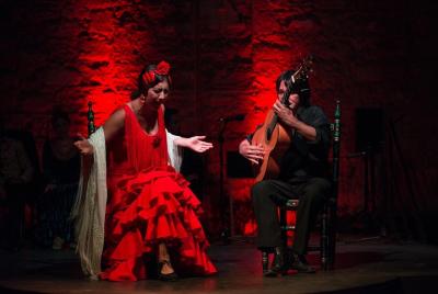 Escapada de un día de flamenco por Jerez desde Cádiz