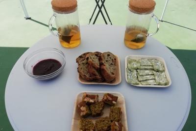 Ecotour Moringa - Experiencia sostenible