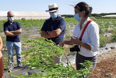 Experiencia Eco-Finca Saludable y Pinares Experiencia Eco-Finca Saludable y Pinares