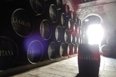 Ultimate Sherry Tour desde Vejer de la Frontera en inglés