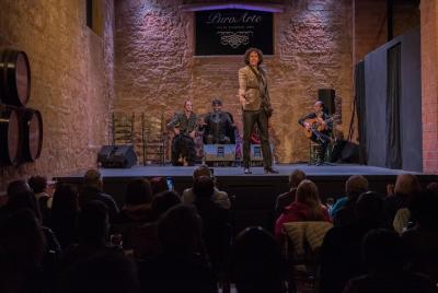 Tablao Flamenco Puro Arte en Jerez Tablao Flamenco Puro Arte en Jerez