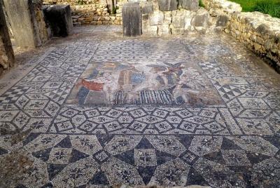 Volubilis y Meknes: excursión privada de un día desde Fez con recogida en el hotel Volubilis y Meknes: excursión privada de un día desde Fez con recogida en el hotel