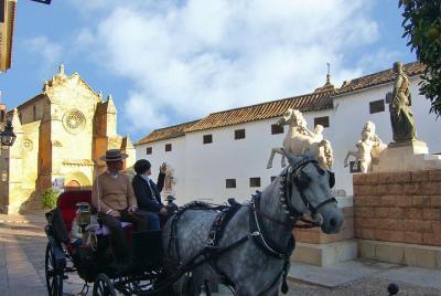 Tour privado: paseo en carruaje tirado por caballos por Córdoba Tour privado: paseo en carruaje tirado por caballos por Córdoba