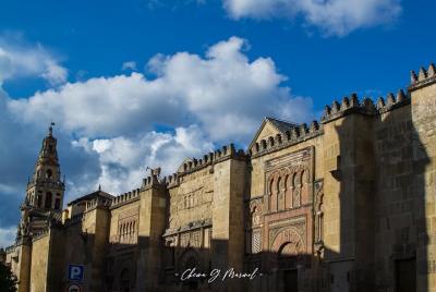 mezquita experience mezquita experience