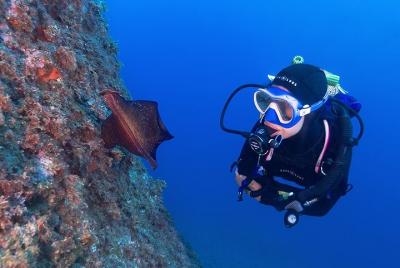Aventura de buceo para grupos pequeños en la Costa Brava Aventura de buceo para grupos pequeños en la Costa Brava