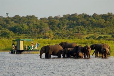 Parque Nacional de Chobe Safari de 4X4 días y crucero por el río