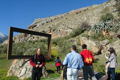 Private Olive Grove walk and Oil tasting