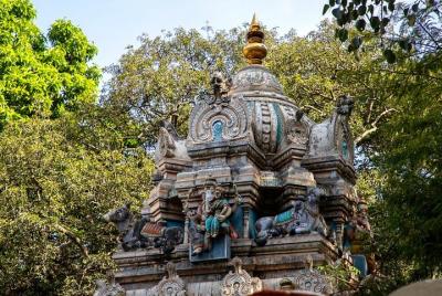 Paseo de la Divinidad en Bangalore