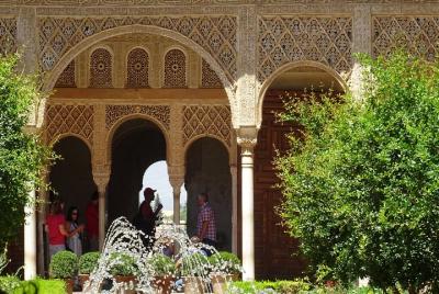 Excursión privada de medio día a la Alhambra. Entradas NO incluidas!