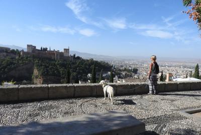 Visita guiada al Albaicín con perros.