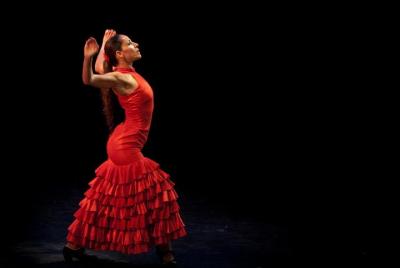 Tour Albaicín & Sacromonte con Espectáculo Flamenco y Tapas