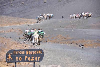 Excursión de medio día al Parque Nacional de Timanfaya