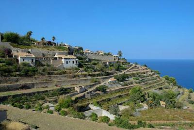 Visita guiada de pueblos auténticos y el interior de Mallorca (recogida desde el sur) Visita guiada de pueblos auténticos y el interior de Mallorca (recogida desde el sur)