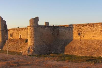 Visita Bodega Vinos y un pueblo Madrid