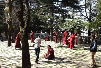 Paquete Himanchal completo