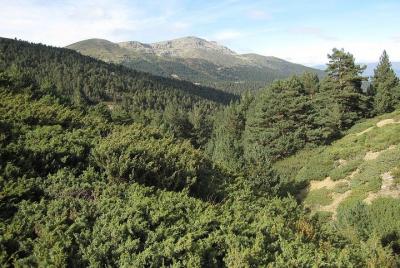 Parque Nacional de Guadarrama y Castillo de Manzanares: Excursión de un día desde Madrid