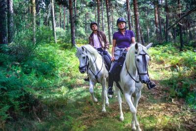 Paseo privado a caballo en el Parque Nacional Guadarrama