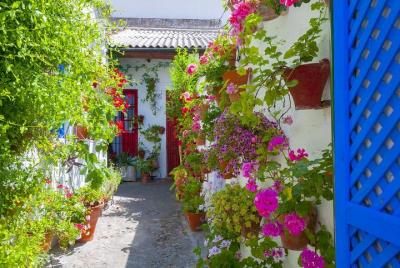 Tour guiado de 4 días a Cáceres, Córdoba y Sevilla en autobús y tren de alta velocidad