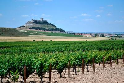 Recorrido vinícola Premium en Ribera del Duero con almuerzo y recogida en el hotel