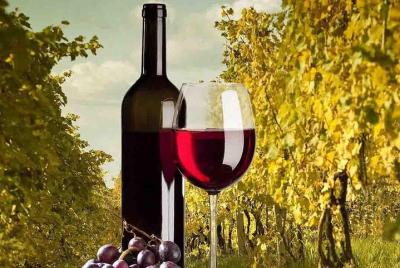 Visita guiada de medio día a una bodega desde Madrid