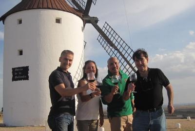Excursión a los molinos de viento de Don Quijote desde Madrid