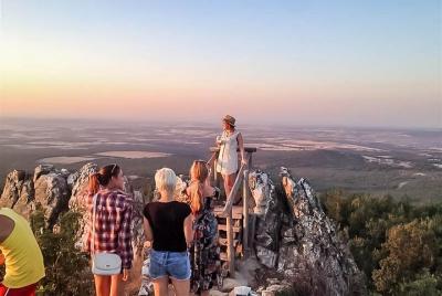 Ribera del Duero desde Madrid día completo