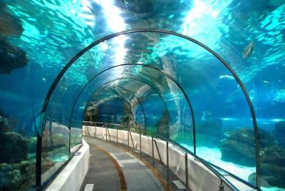 Entrada a Sealife Benalmádena Entrada a Sealife Benalmádena