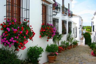 Marbella, centro histórico y tapas: viaje privado desde la Costa del Sol Marbella, centro histórico y tapas: viaje privado desde la Costa del Sol