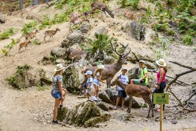 Aventura 4x4 Senderismo y Fauna en Eco Reserva Ojen en Málaga Aventura 4x4 Senderismo y Fauna en Eco Reserva Ojen en Málaga